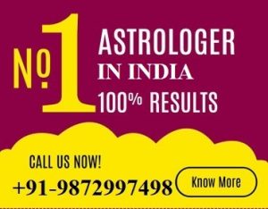 Love Back Astrologer